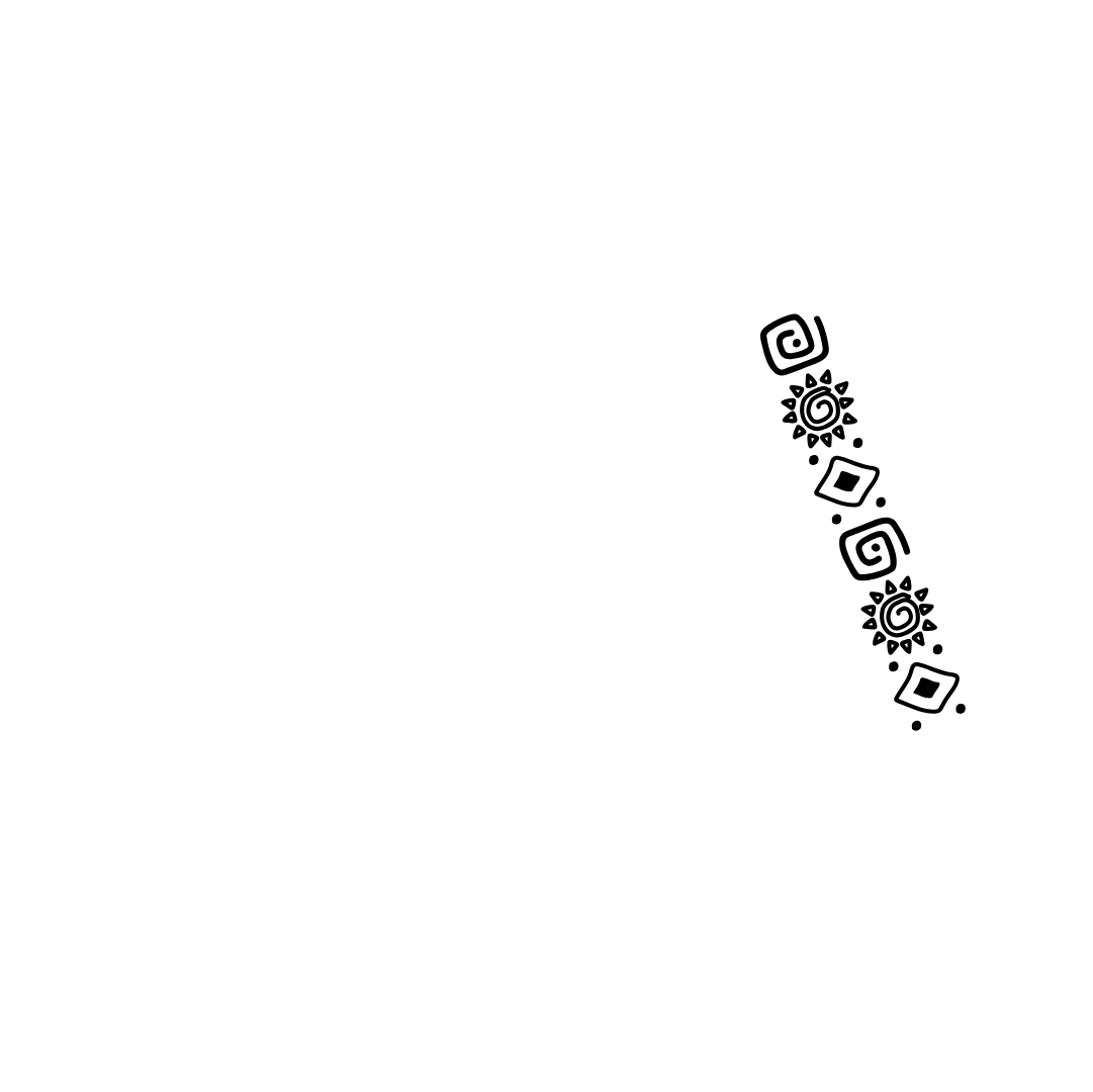 VAI Operator Logo